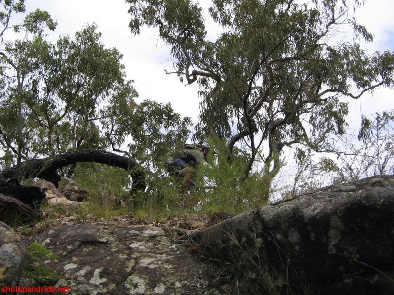 20070114-Coba 225 